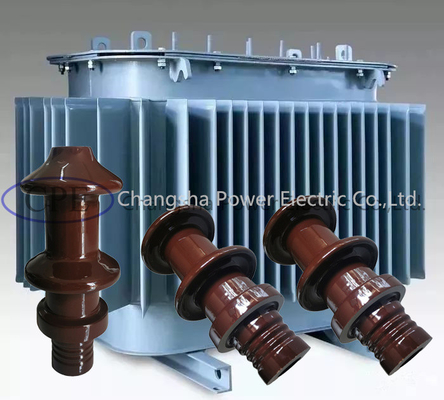 OEM standard de bague de porcelaine de transformateur DIN 10000V 10NF250 disponible