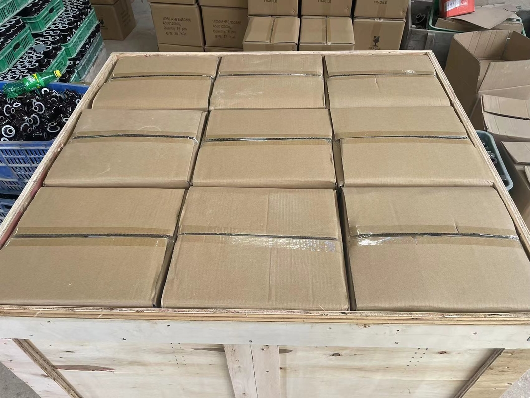 OEM standard de la bague CD70MM de porcelaine de transformateur DIN 1kV 250A